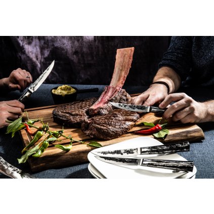 Steakmesser INTENSE, 4er-Set, Forged