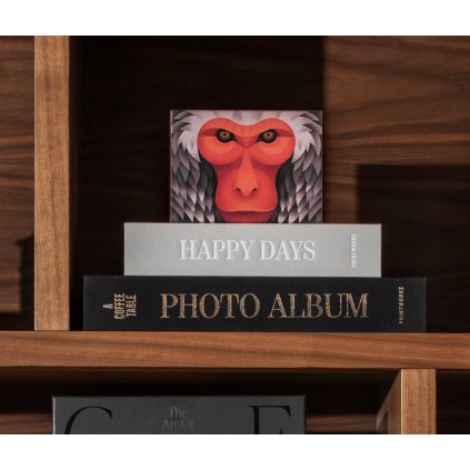 Puzzle JAPANESE MACAQUE, 100 Teile, Printworks