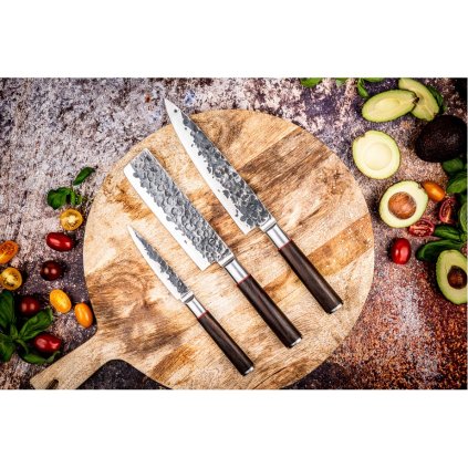 Messerset SEBRA, 3er-Set, Forged
