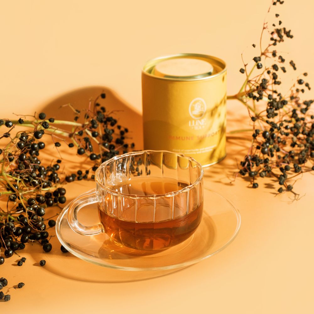 Kräutertee IMMUNE SUPPORT, 45 g Dose, Lune Tea
