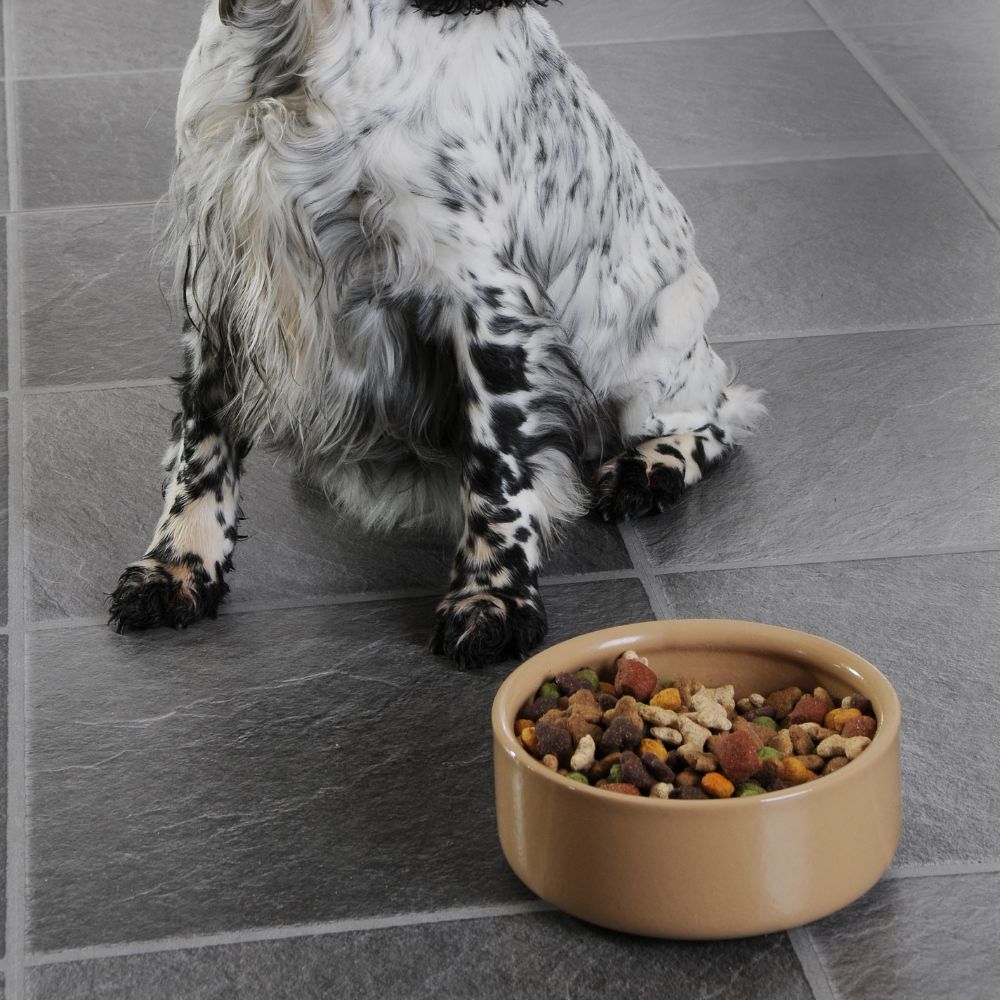 Hundenapf PETWARE CANE 18 cm, Zimt, Steingut, Mason Cash