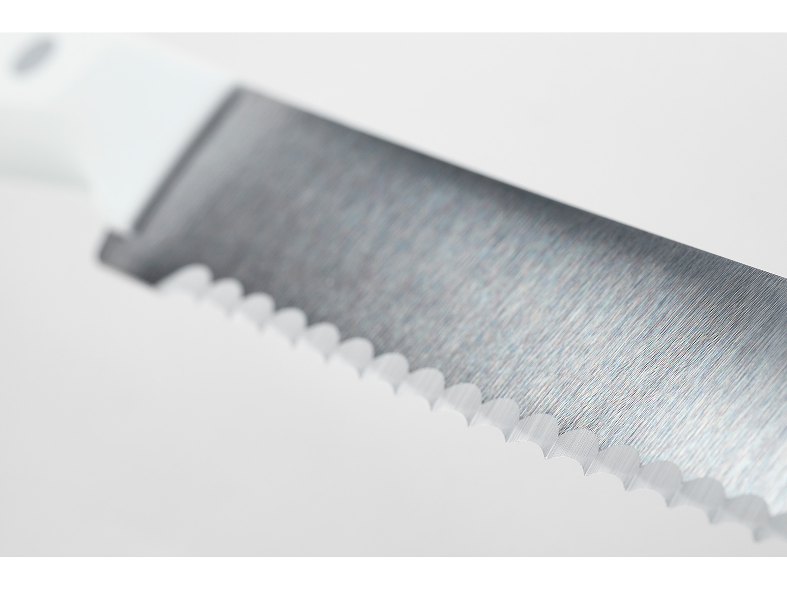 Wurstmesser CLASSIC WHITE 14 cm, Wüsthof