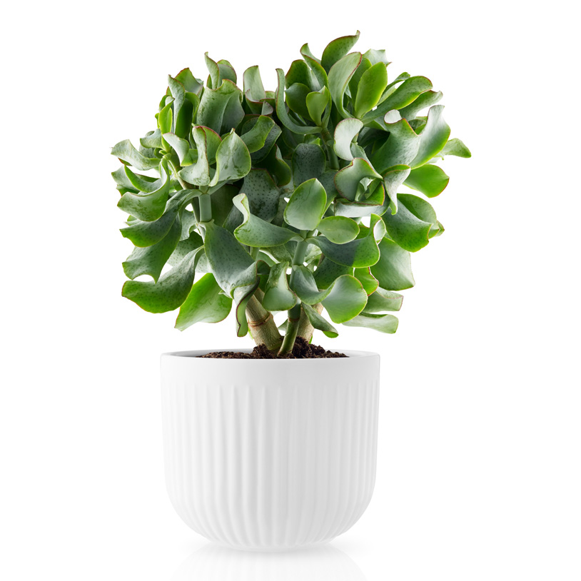Blumentopf LEGIO NOVA 15,5 cm, weiß, Eva Solo
