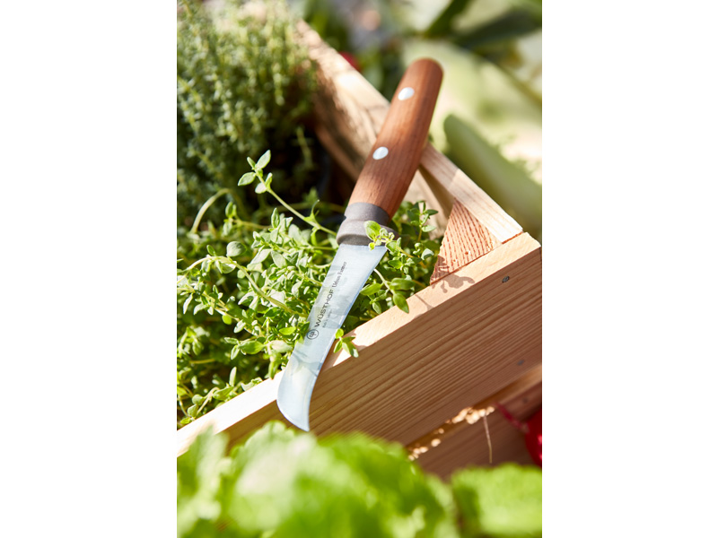 Gemüsemesser URBAN FARMER 8 cm, Holzgriff, Wüsthof