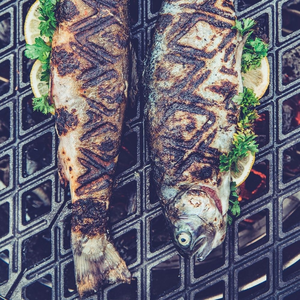 Grillrost für CONE Grill, Gusseisen, Höfats