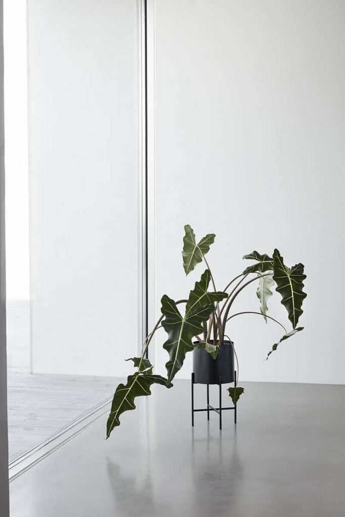 Blumenständer AIRY,2er-Set, 55 cm/45 cm, schwarz, Hübsch