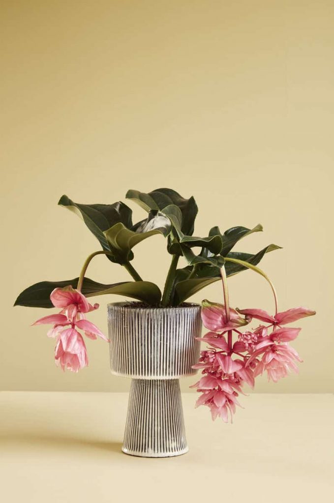 Blumentopf PLINTH, 2er-Set, grau, Keramik, Hübsch