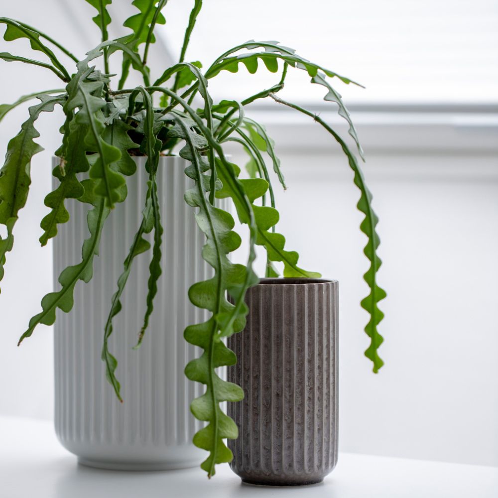 Vase 20 cm, weiß, Porzellan, Lyngby