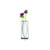 196041 2 vaza float 23 cm seda philippi