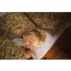 Bettwäsche Einzelbett STRAW 140 x 200 cm, Foonka