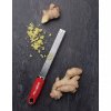 Zester Reibe PREMIUM CLASSIC, rot, Microplane
