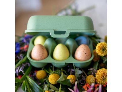 Eierdoos EGGS TO GO MINI 17 cm, voor 6 eieren, bladgroen, Koziol