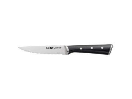 Steakmes ICE FORCE K232S414, set van 4 stuks, Tefal