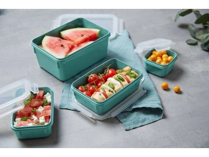 Voedselbewaardoos MASTER SEAL COLOUR EDITION N1031010 , set van 4 stuks, groen, plastic, Tefal