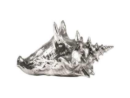 Decoratieve schelp WUNDERKAMMER SHELL 23 cm, zilver, aluminium, Seletti