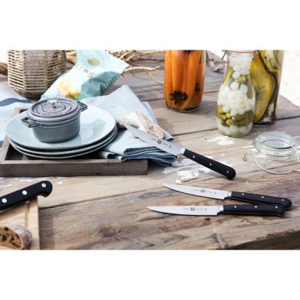 Steakmes (set) TWIN, 4 stuks, Zwilling