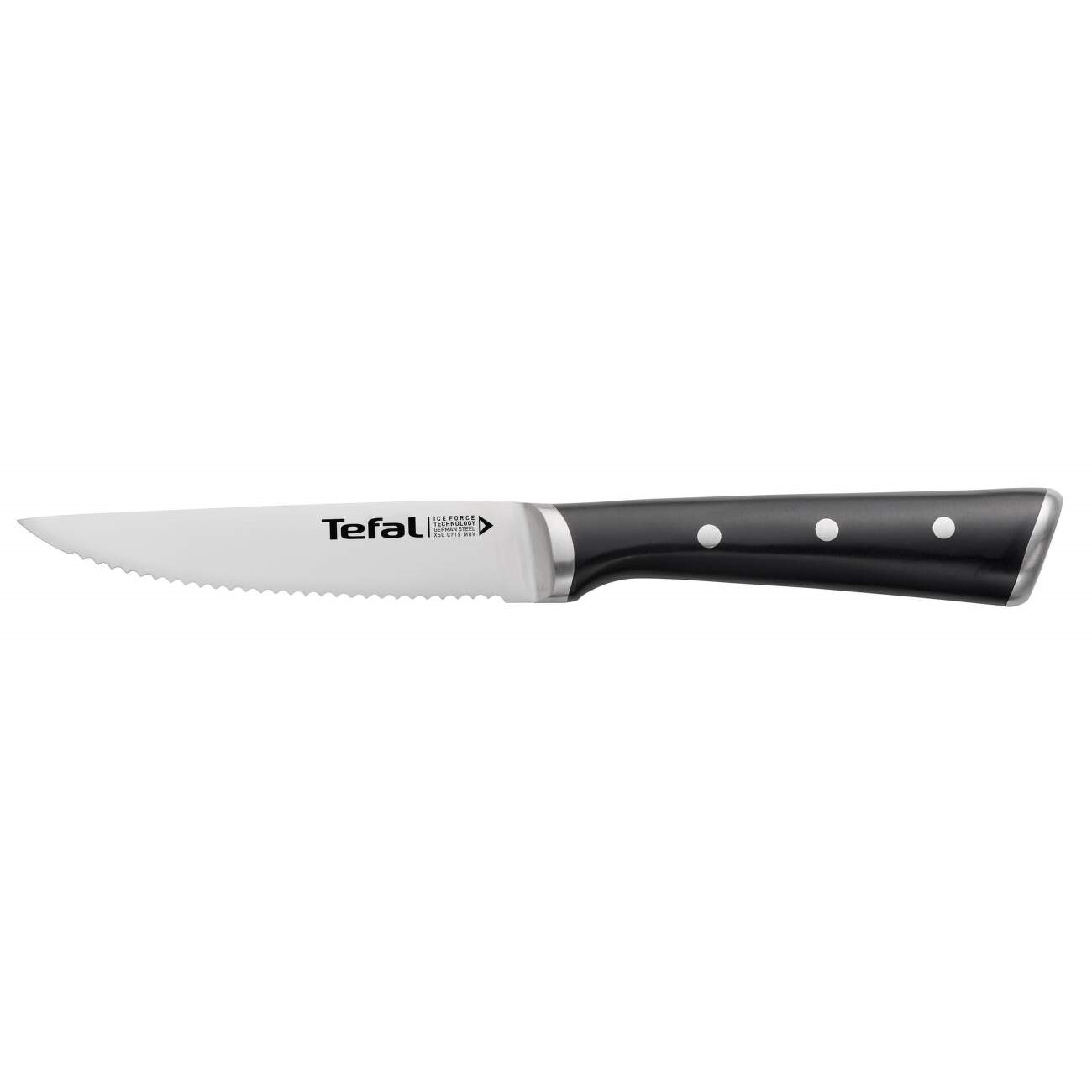 Steakmes ICE FORCE K232S414, set van 4 stuks, Tefal
