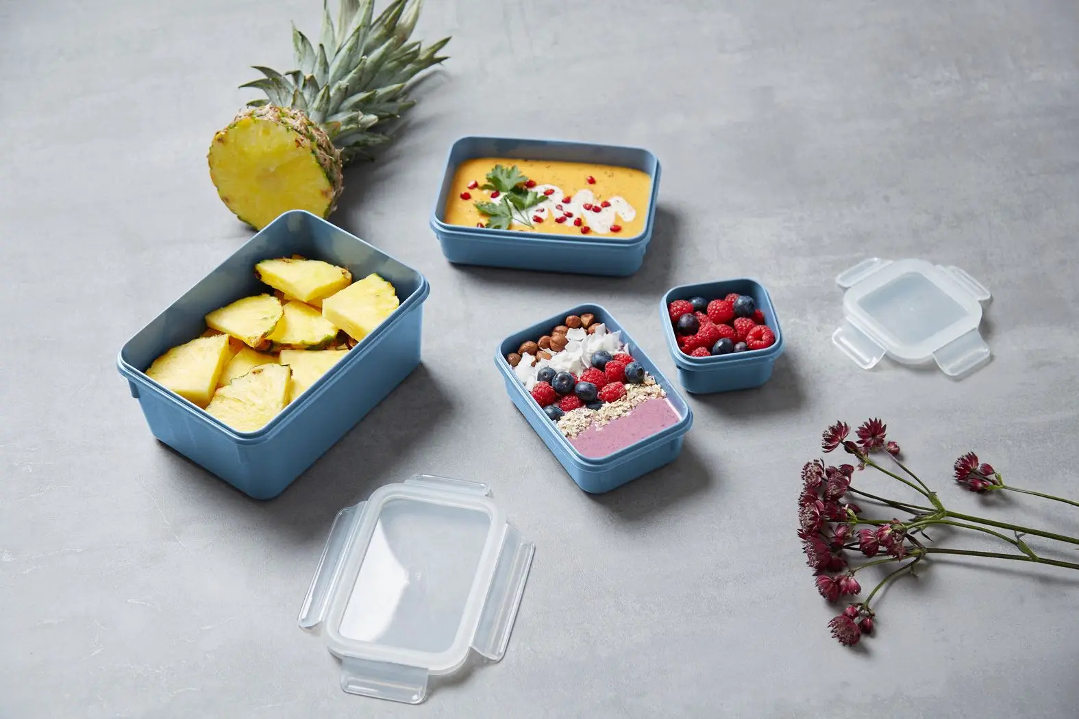 Voedselbewaardoos MASTER SEAL COLOUR EDITION N1030810 , set van 4 stuks, blauw, plastic, Tefal