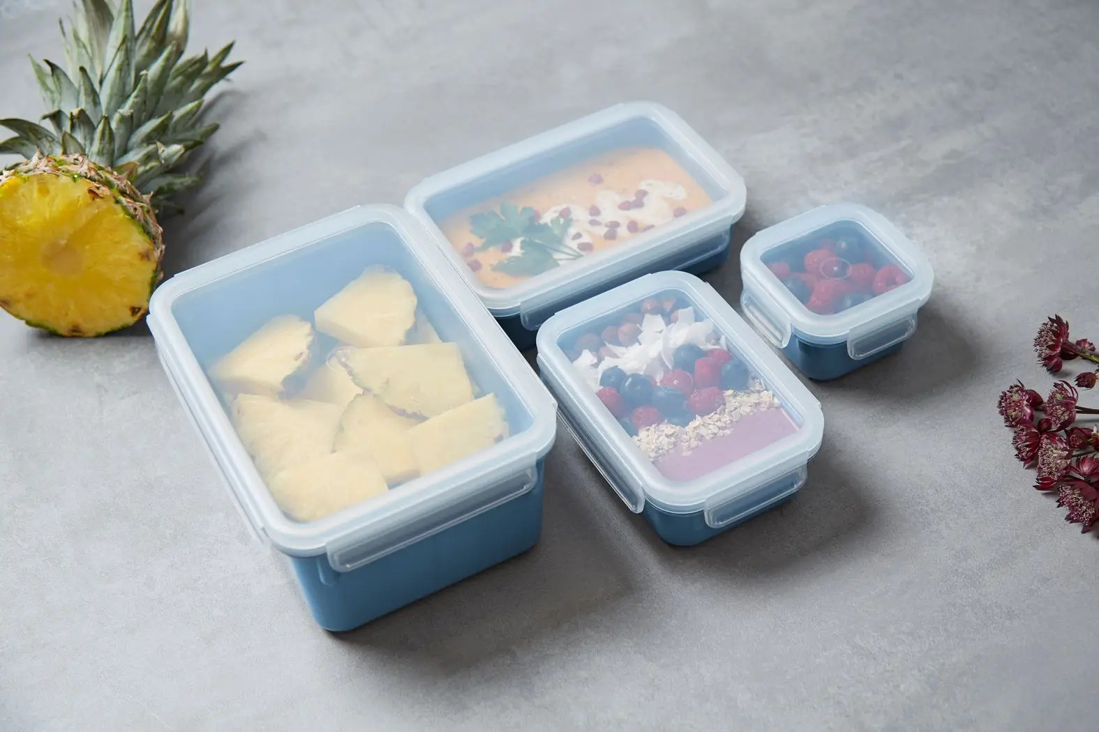 Voedselbewaardoos MASTER SEAL COLOUR EDITION N1030810 , set van 4 stuks, blauw, plastic, Tefal