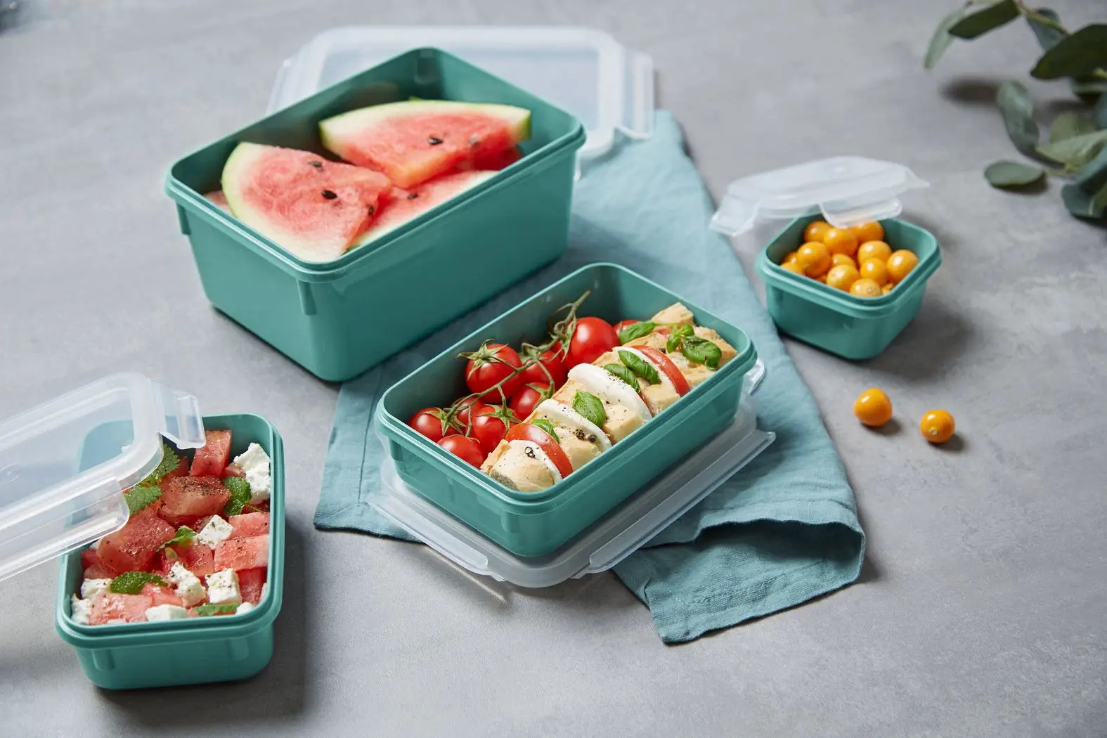 Voedselbewaardoos MASTER SEAL COLOUR EDITION N1031010 , set van 4 stuks, groen, plastic, Tefal
