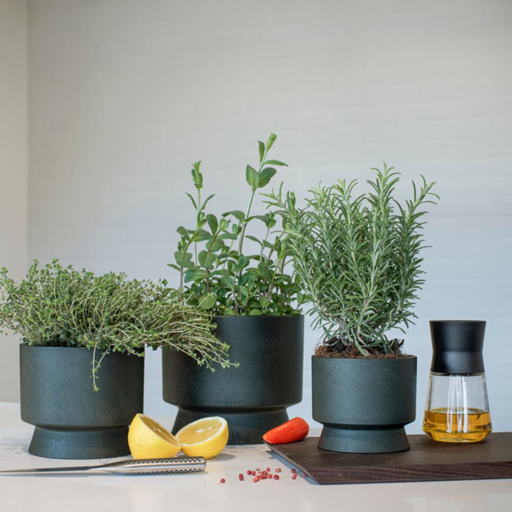Bloempot RECYCLED 12 cm, donkergroen, Rosendahl