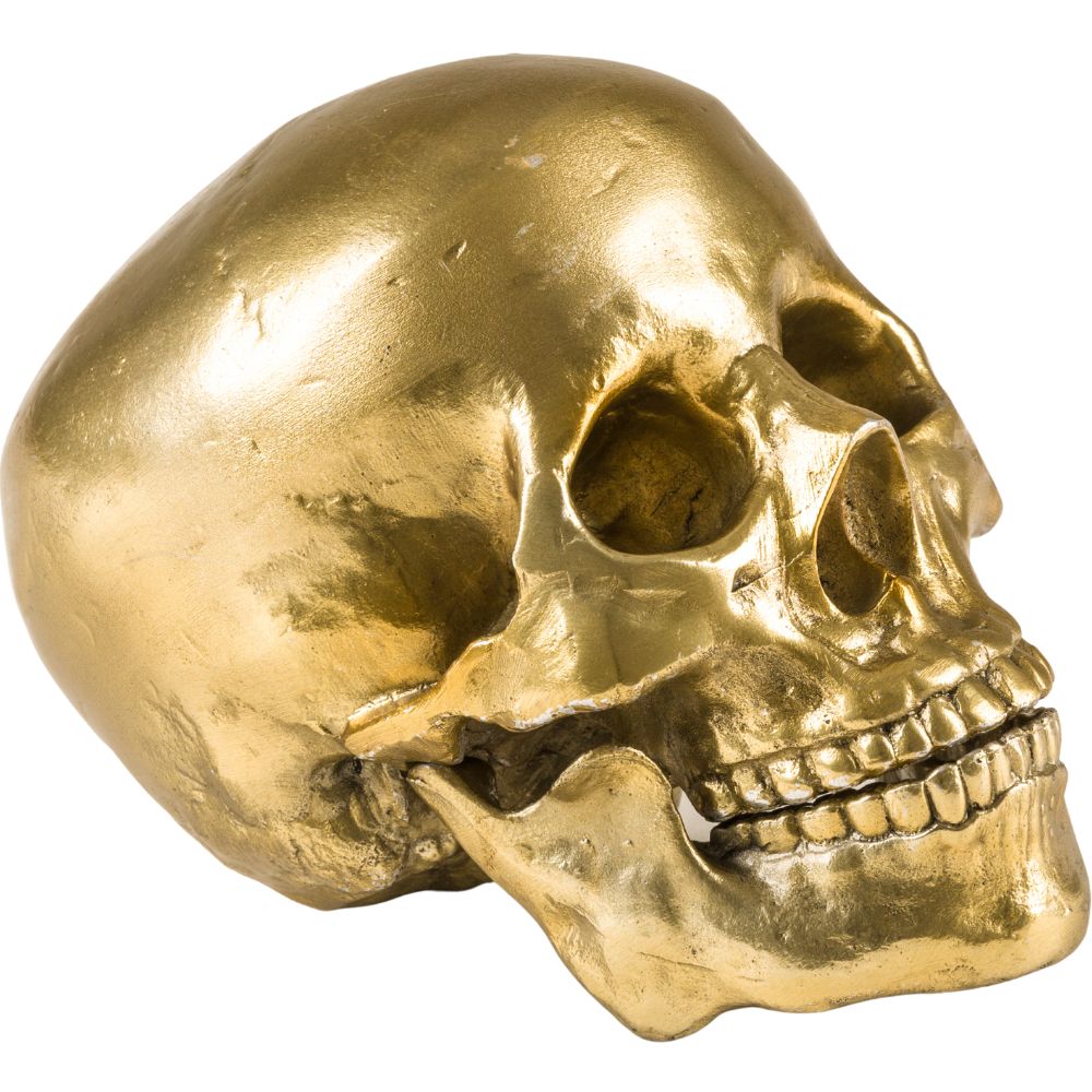 Decoratieve schedel WUNDERKAMMER HUMAN SKULL 20 cm, zilver, aluminium, Seletti