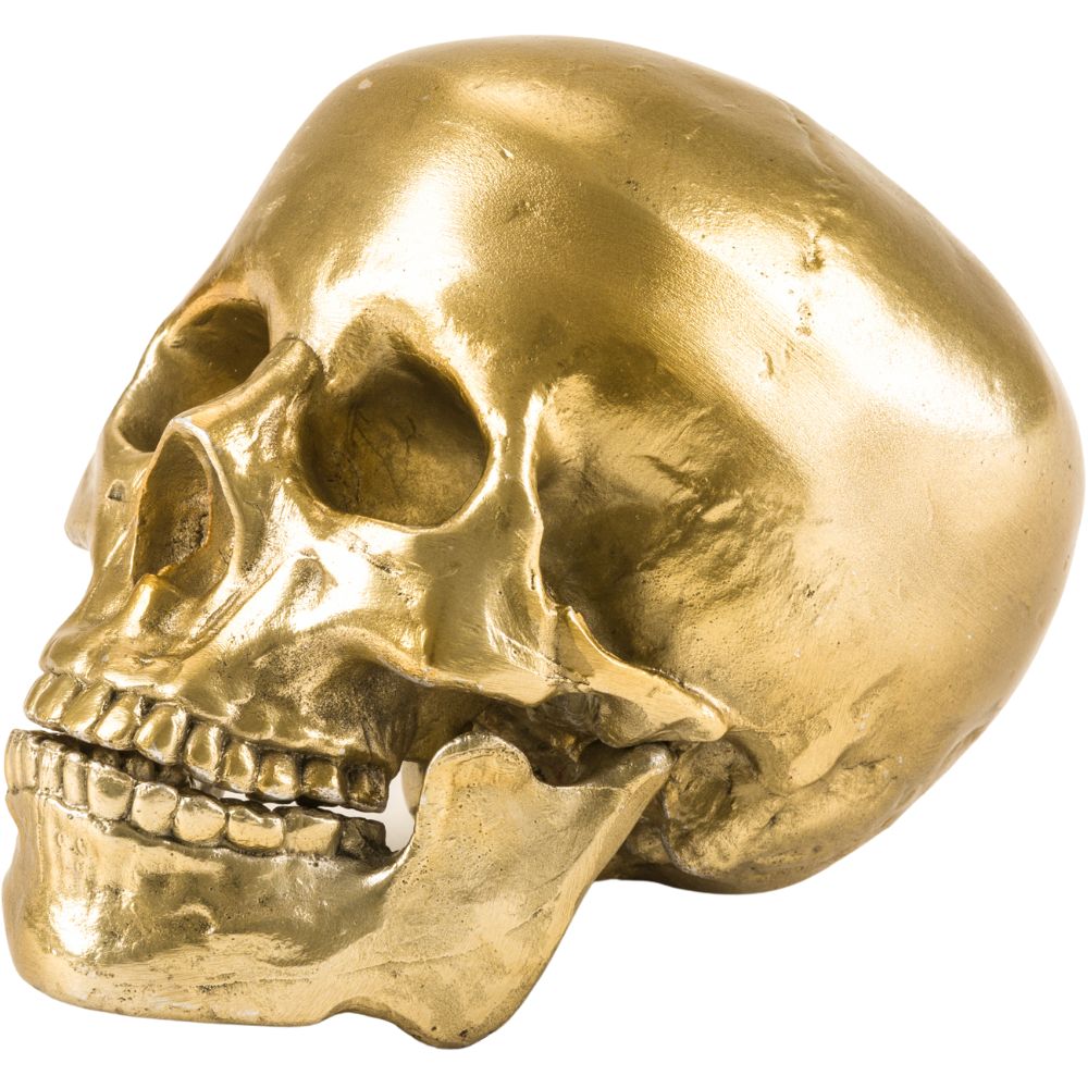 Decoratieve schedel WUNDERKAMMER HUMAN SKULL 20 cm, zilver, aluminium, Seletti