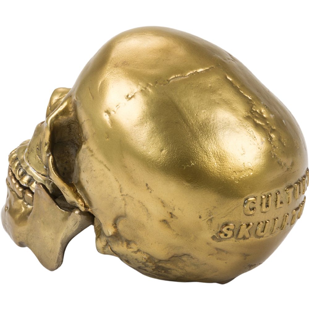 Decoratieve schedel WUNDERKAMMER HUMAN SKULL 20 cm, zilver, aluminium, Seletti