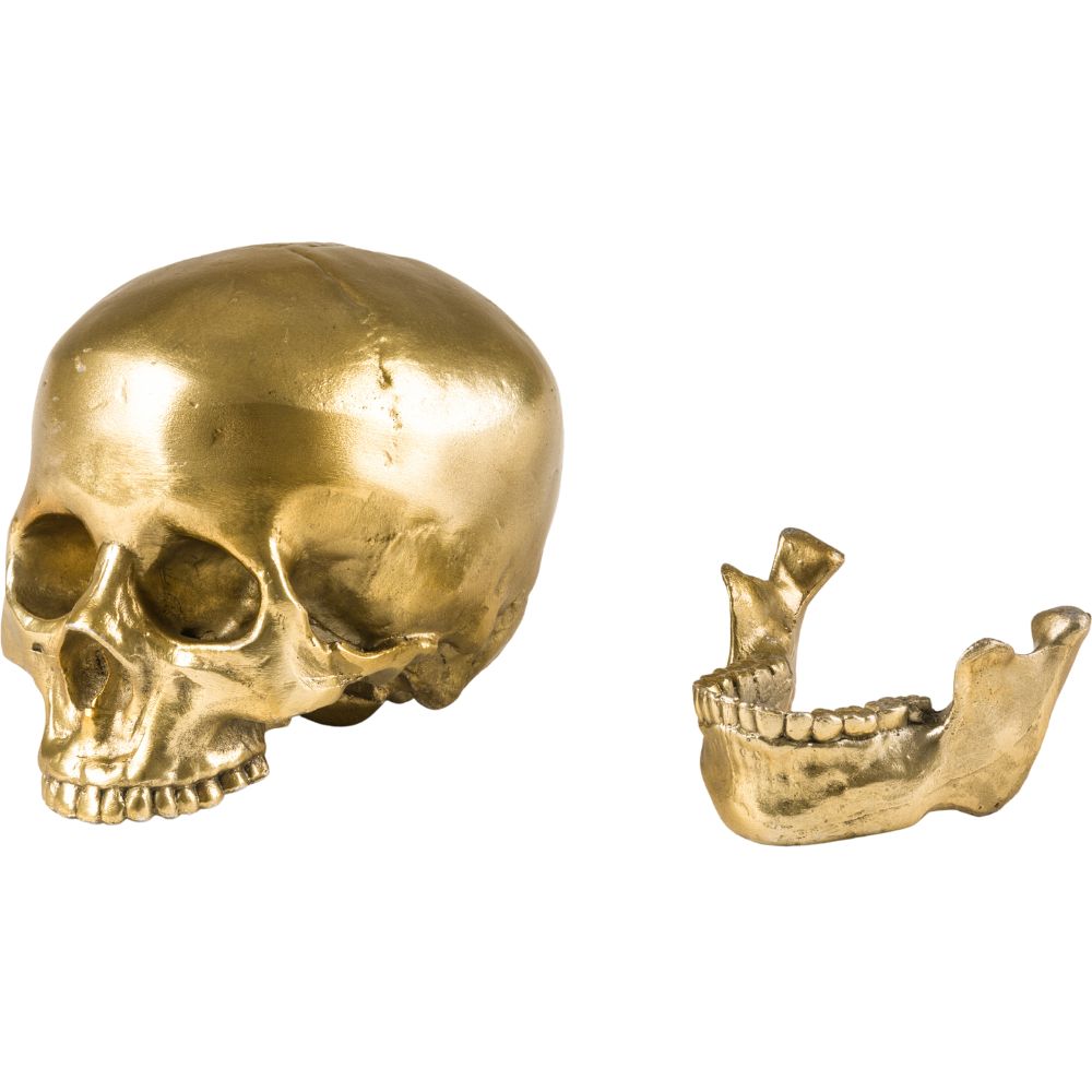 Decoratieve schedel WUNDERKAMMER HUMAN SKULL 20 cm, zilver, aluminium, Seletti