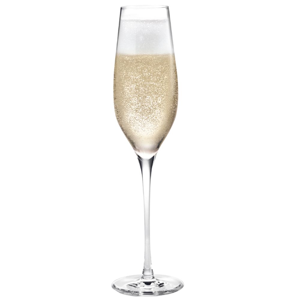 Champagneglas CABERNET, set van 6 stuks, 290 ml, Holmegaard