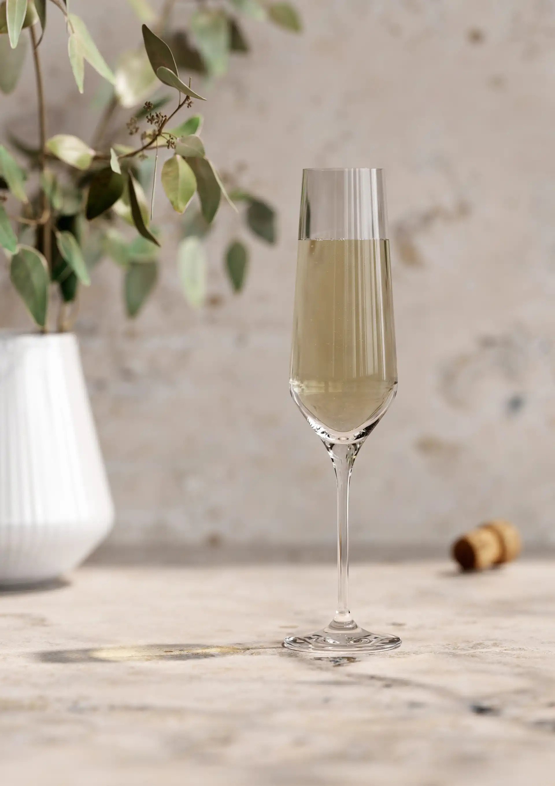 Champagneglas LEGIO NOVA, set van 6 stuks, 260 ml, Eva Solo