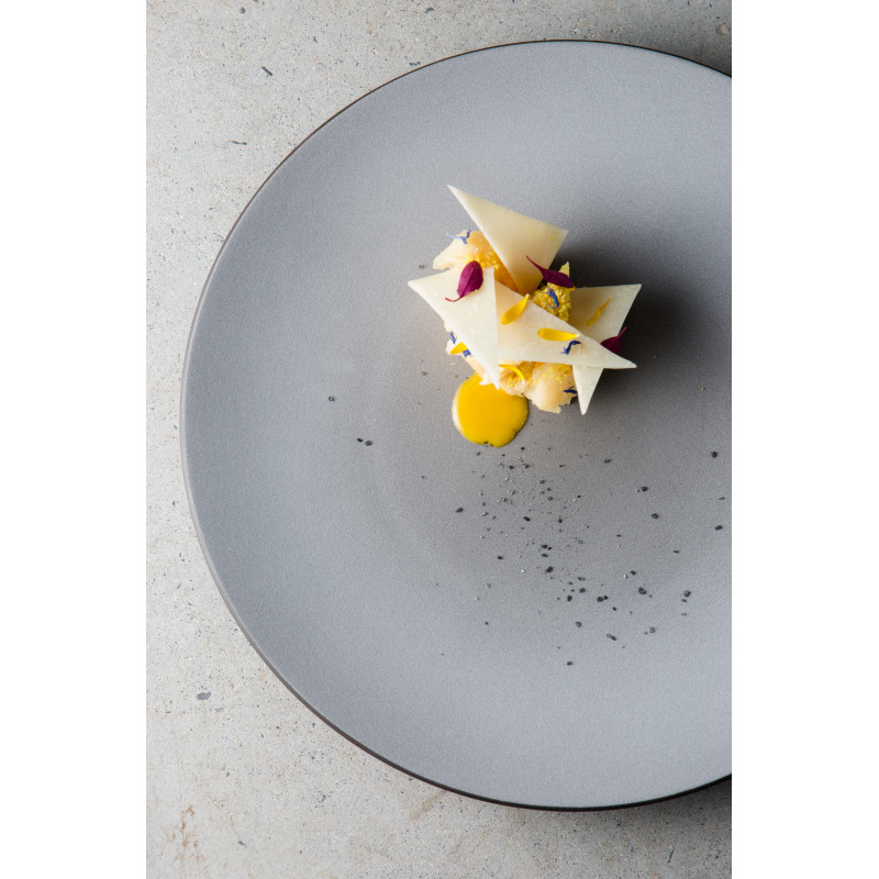 Dineerbord EQUINOXE 26 cm, grijs, REVOL