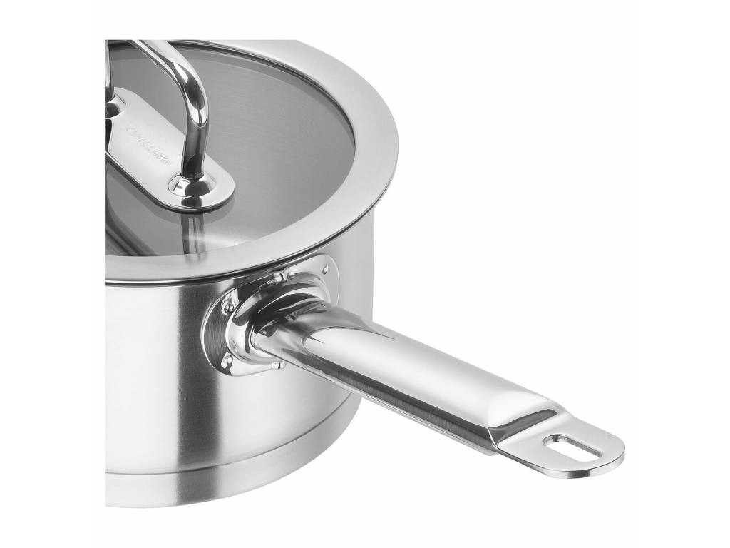 Sauspan PRO 20 cm, 3,1 l, met deksel, roestvrij staal, Zwilling