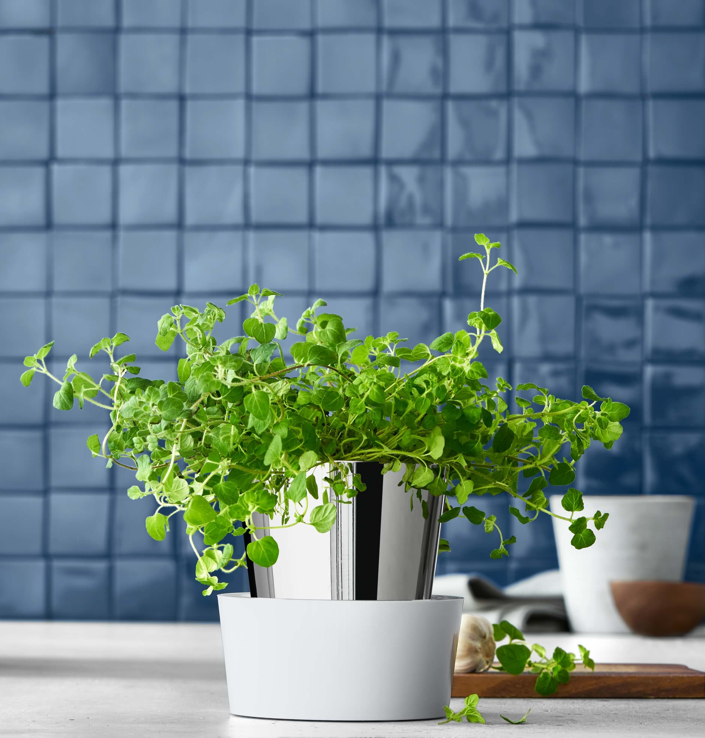 Zelfwatergevende bloempot HERB GARDEN GOURMET, WMF
