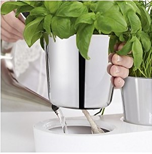 Zelfwatergevende bloempot HERB GARDEN GOURMET, WMF