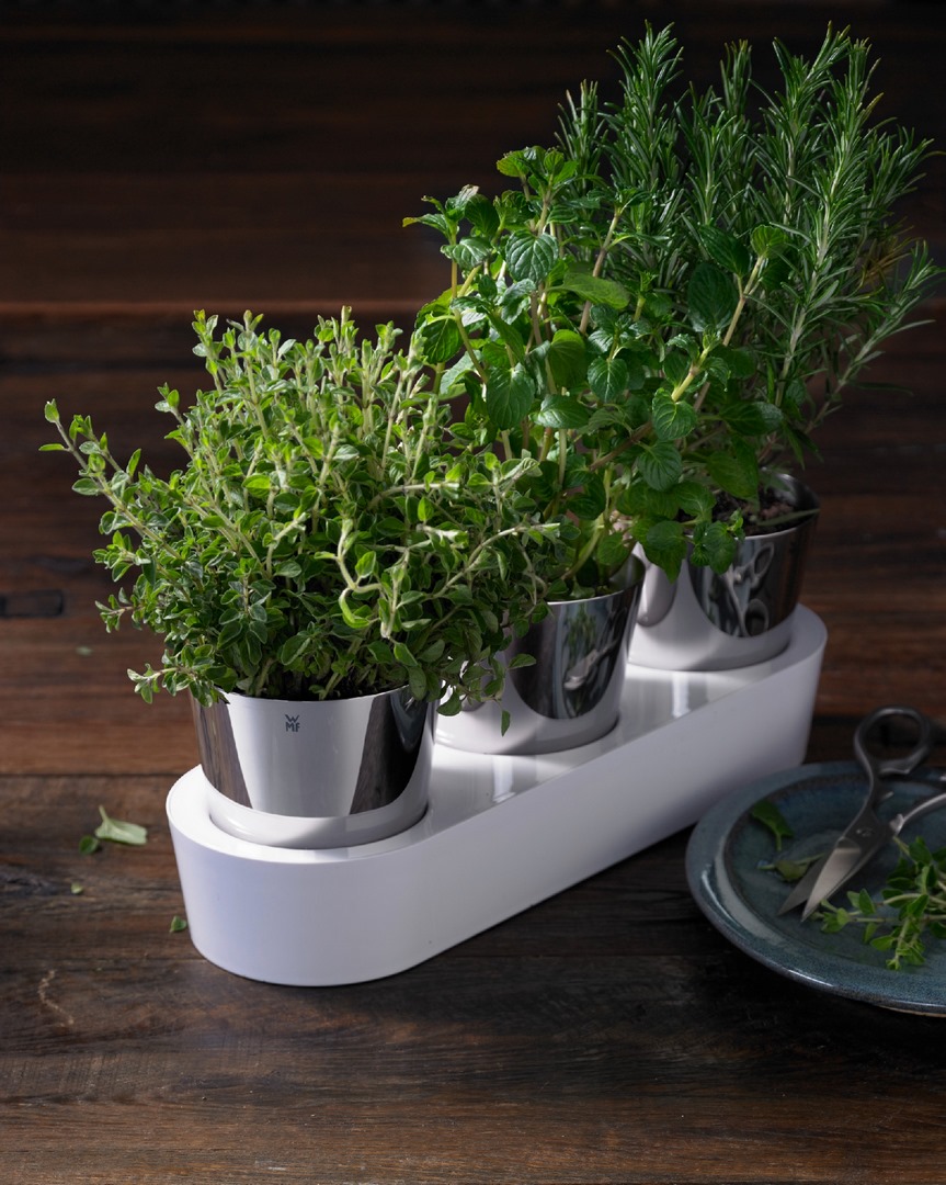 Zelfwatergevende bloempot HERB GARDEN GOURMET, WMF