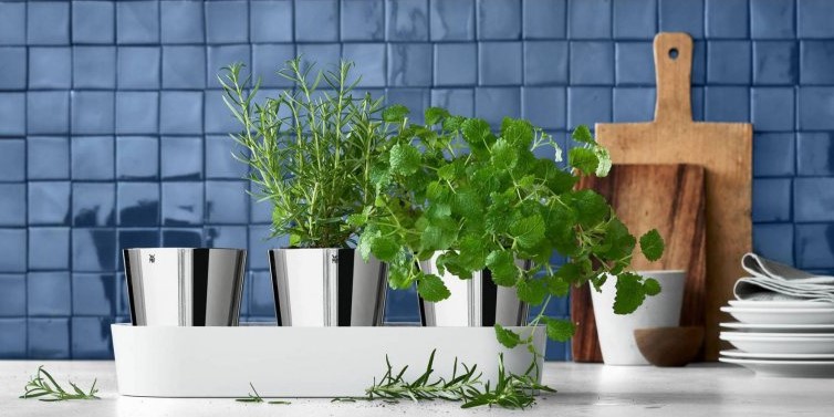 Zelfwatergevende bloempot HERB GARDEN GOURMET, WMF