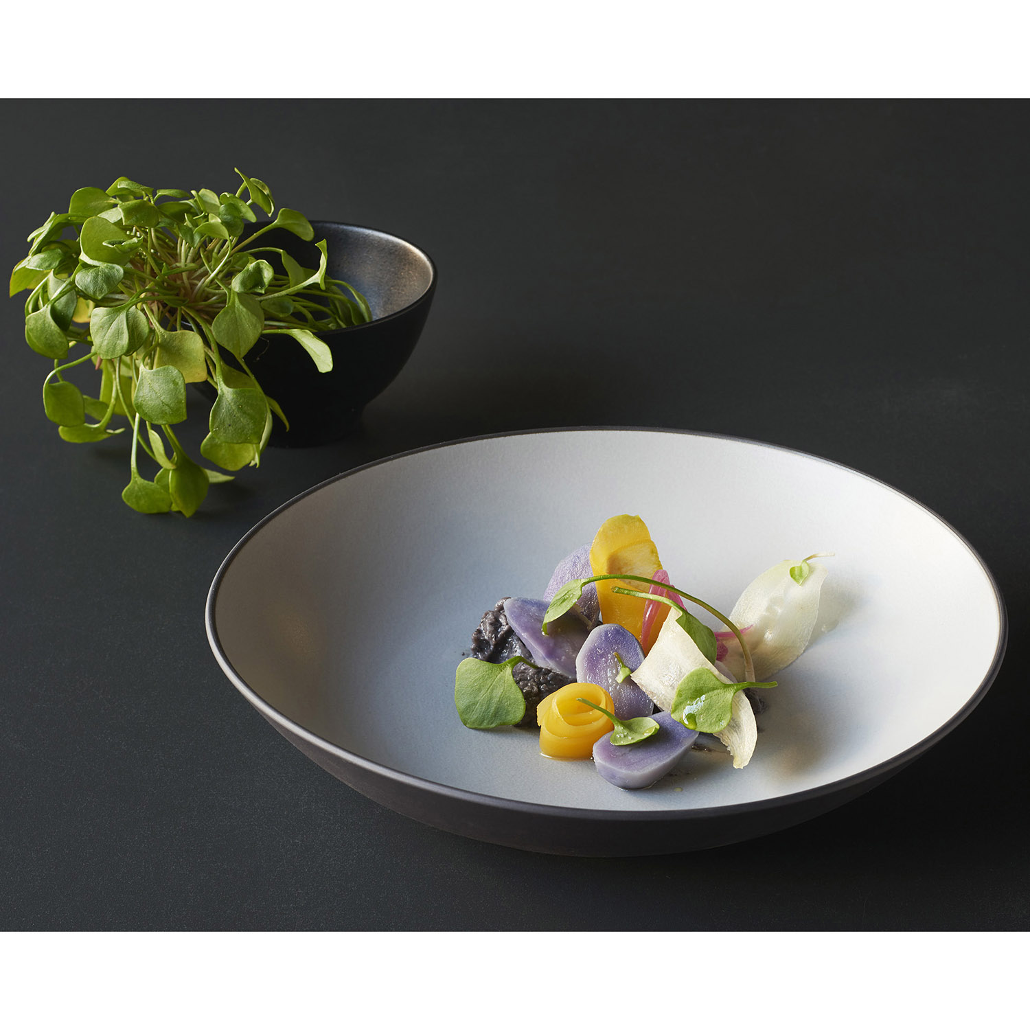 Diep bord EQUINOX 24 cm, peperwit, REVOL