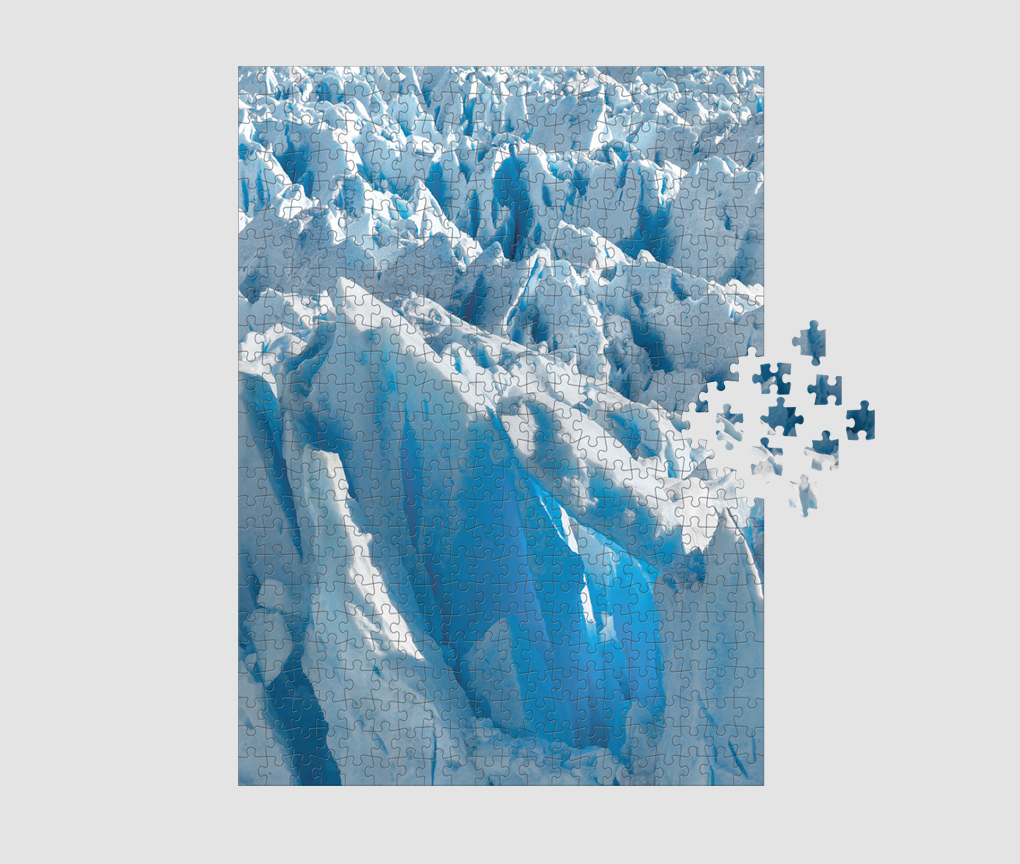 Puzzel NATURE