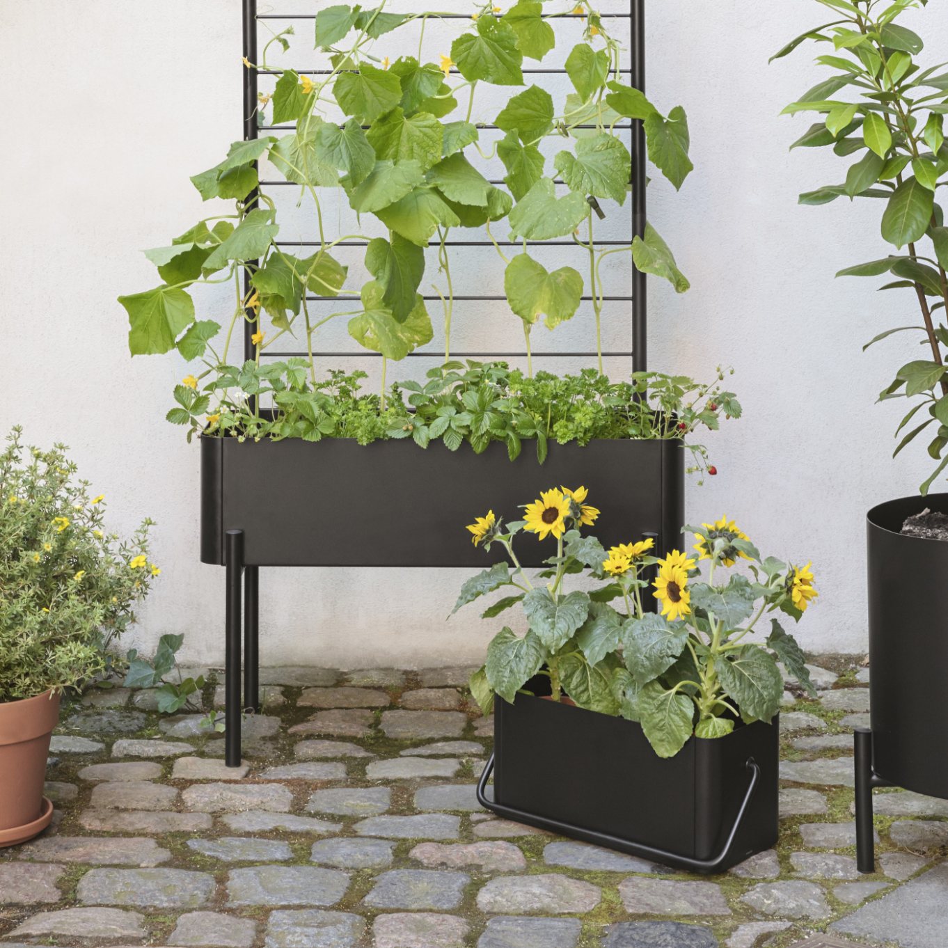 218099 2 kvetinac simply grow 40 x 22 cm cerna ocel eva solo