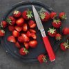 Messenset RED SPIRIT, 5-delig, met witte magnetische standaard, F.DICK