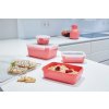 Voedselbewaardoos MASTER SEAL COLOUR EDITION N1030910 , set van 4 stuks, koraal rood, plastic, Tefal