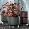 Bloempot RECYCLED 15 cm, donkergroen, Rosendahl