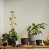 Bloempot RECYCLED 15 cm, donkergroen, Rosendahl