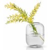 Vaas ACORN 16,5 cm, helder glas, Eva Solo
