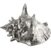 Decoratieve schelp WUNDERKAMMER SHELL 23 cm, zilver, aluminium, Seletti