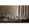 Rode wijnglas JUVEL, set van 4 stuks, 500 ml, Lyngby Glas