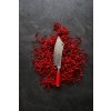Koksmes AJAX RED SPIRIT 20 cm, F.Dick