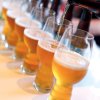 Bierglas CRAFT BEER CLASSICS IPA GLASS, set van 6 stuks, 540 ml, Spiegelau