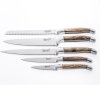 Messenset, LUXURY, 6 stuks met magnetische standaard , olijfhout, Laguiole